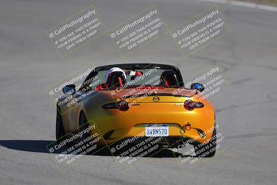 media/Nov-19-2023-Extreme Speed (Sun) [[bd0eec5490]]/Purple/Back Shots/